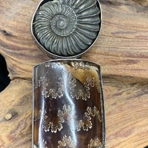 Ammonite Pin